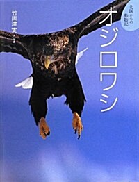 オジロワシ (北國からの動物記 5) (大型本)