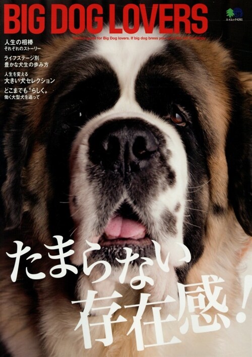 BIGDOGLOVEエイムック