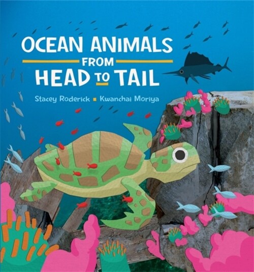 Ocean Animals from Head to Tail (Paperback)