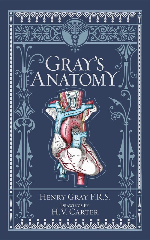Grays Anatomy (Barnes & Noble Collectible Classics: Omnibus Edition) (Hardcover)