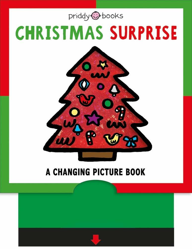 Christmas Surprise (Board Book)