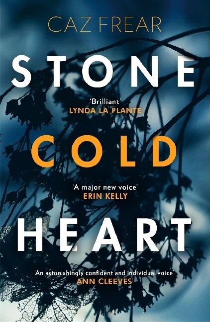 Stone Cold Heart : the addictive new thriller from the author of Sweet Little Lies (Paperback)