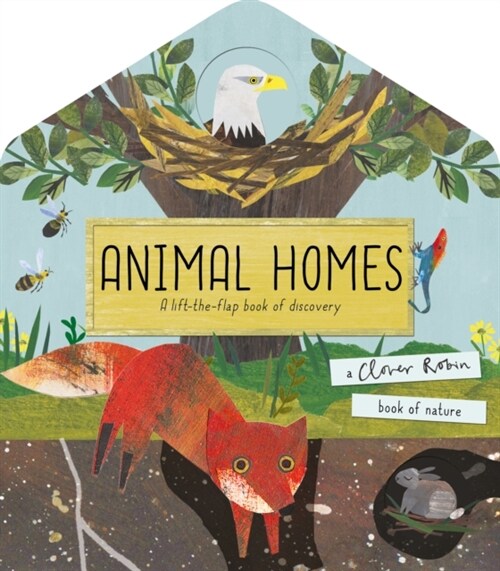 [중고] Animal Homes : A lift-the-flap book of discovery (Novelty Book)