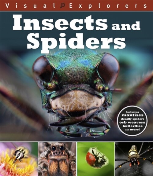 Visual Explorers: Insects and Spiders (Paperback)