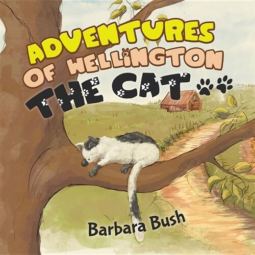 Adventures of Wellington the Cat (Paperback)