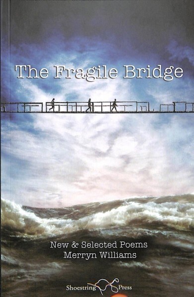 The Fragile Bridge (Paperback)