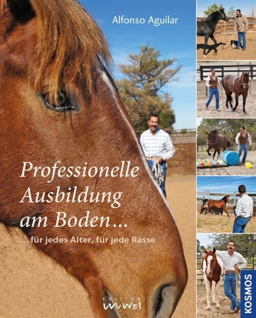 Professionelle Ausbildung am Boden (Hardcover)