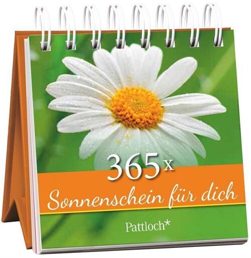365 x Sonnenschein fur dich (Calendar)