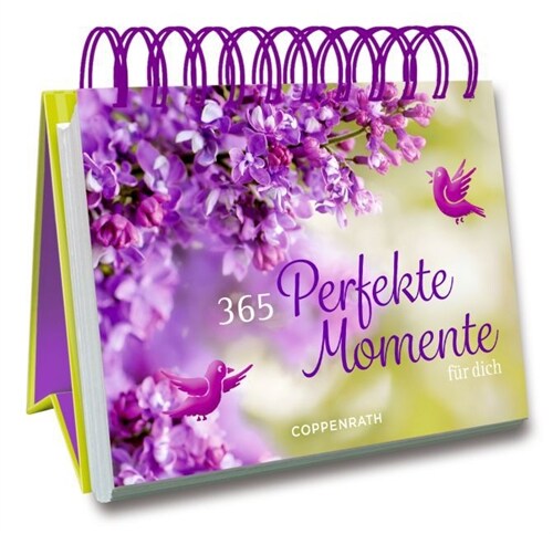 365 Perfekte Momente fur dich (Paperback)