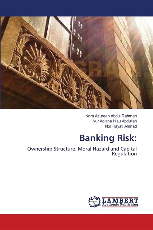 Banking Risk (Paperback)