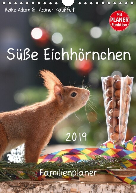 Suße Eichhornchen (Wandkalender 2019 DIN A4 hoch) (Calendar)