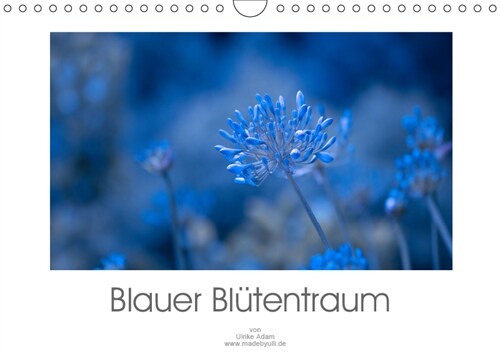 Blauer Blutentraum (Wandkalender 2019 DIN A4 quer) (Calendar)