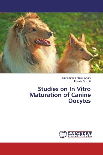 Studies on In Vitro Maturation of Canine Oocytes (Paperback)