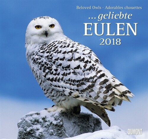 ... geliebte Eulen 2018 (Calendar)