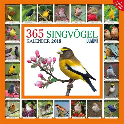 365 Singvogel 2018 (Calendar)