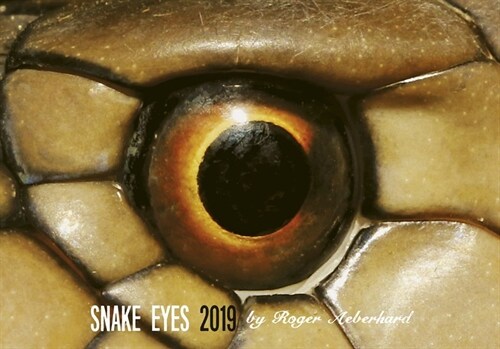 Snake Eyes 2019 (Calendar)