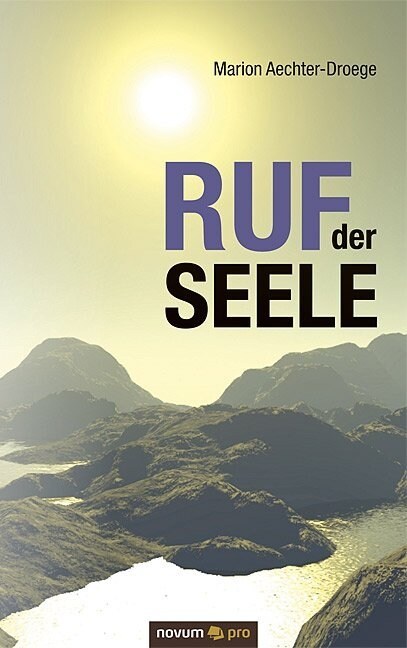 Ruf der Seele: Eine schamanische Reise im Zeitenwandel (Paperback)