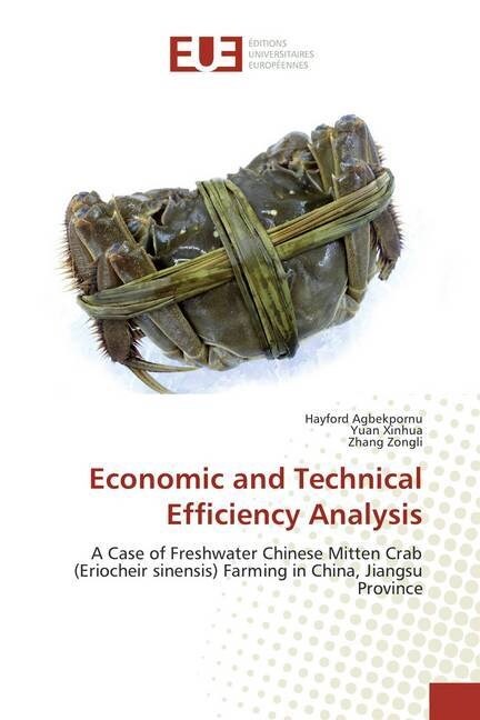 Economic and Technical Efficiency Analysis (Paperback)