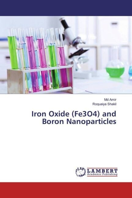 Iron Oxide (Fe3O4) and Boron Nanoparticles (Paperback)