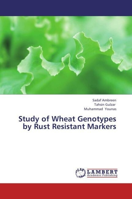 Study of Wheat Genotypes by Rust Resistant Markers (Paperback)