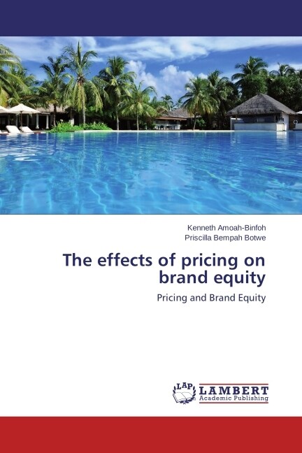 The effects of pricing on brand equity (Paperback)