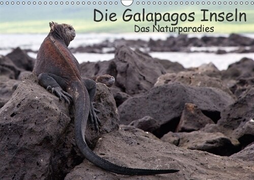 Die Galapagos Inseln - Das Naturparadies (Wandkalender 2018 DIN A3 quer) (Calendar)