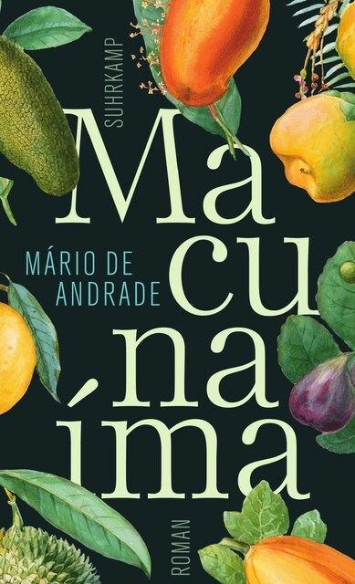 Macunaima, der Held ohne jeden Charakter (Hardcover)