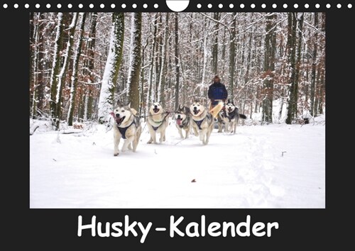 Husky-Kalender (Wandkalender 2019 DIN A4 quer) (Calendar)