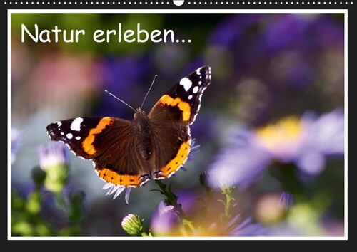 Natur erleben... (Wandkalender 2019 DIN A2 quer) (Calendar)