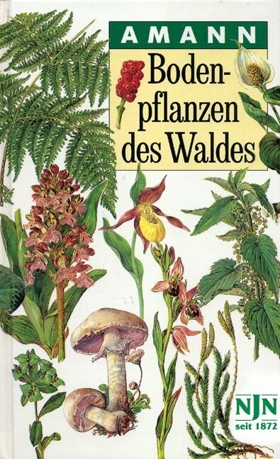 Bodenpflanzen des Waldes (Hardcover)