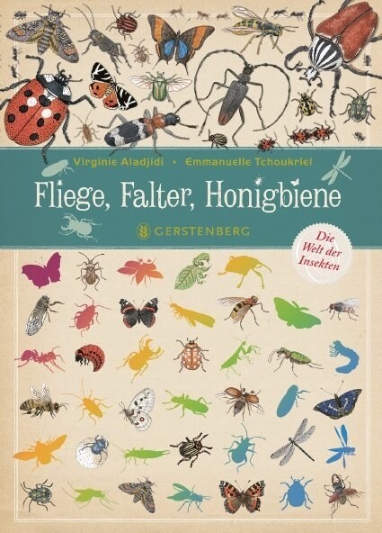Fliege, Falter, Honigbiene (Hardcover)