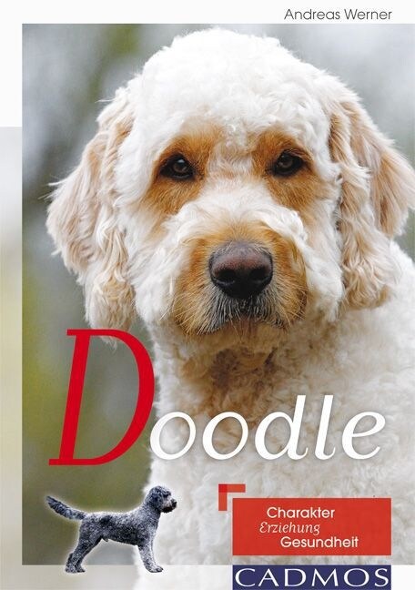 Doodle (Paperback)