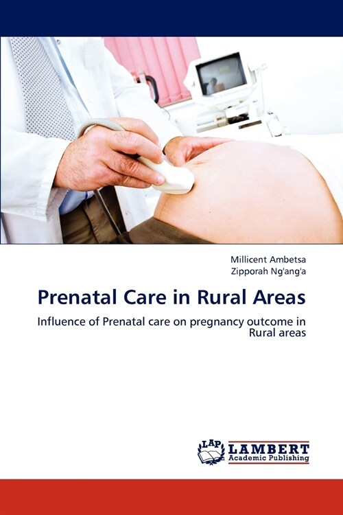 Prenatal Care in Rural Areas (Paperback)