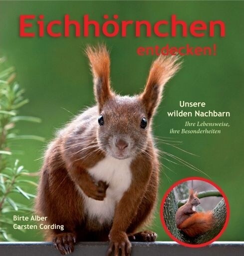 Eichhornchen entdecken! (Paperback)