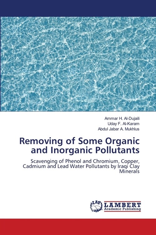 Removing of Some Organic and Inorganic Pollutants (Paperback)