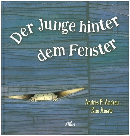 Der Junge hinter dem Fenster (Hardcover)