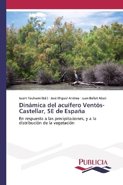 Dinamica del acuifero Ventos-Castellar, SE de Espana (Paperback)