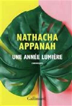 Une annee lumiere : chroniques (Paperback)