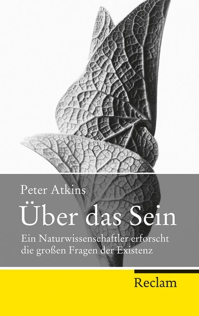 Uber das Sein (Paperback)