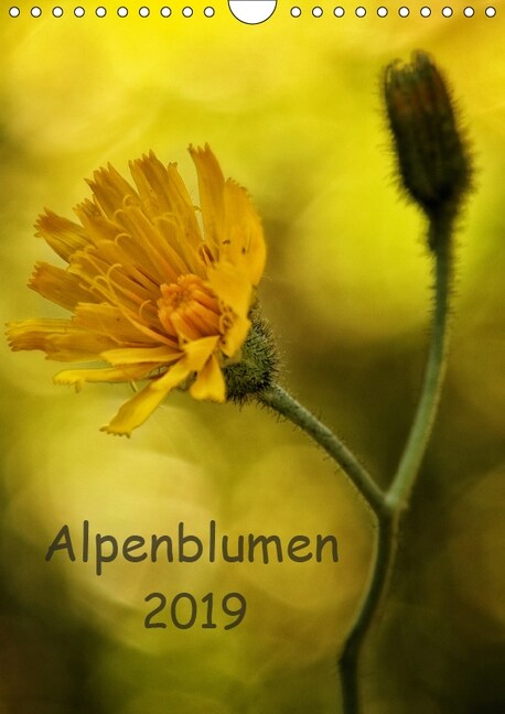 Alpenblumen 2019 (Wandkalender 2019 DIN A4 hoch) (Calendar)