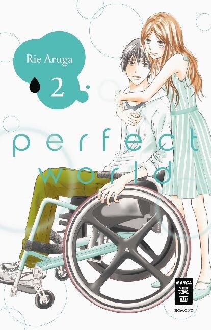 Perfect World. Bd.2 (Paperback)