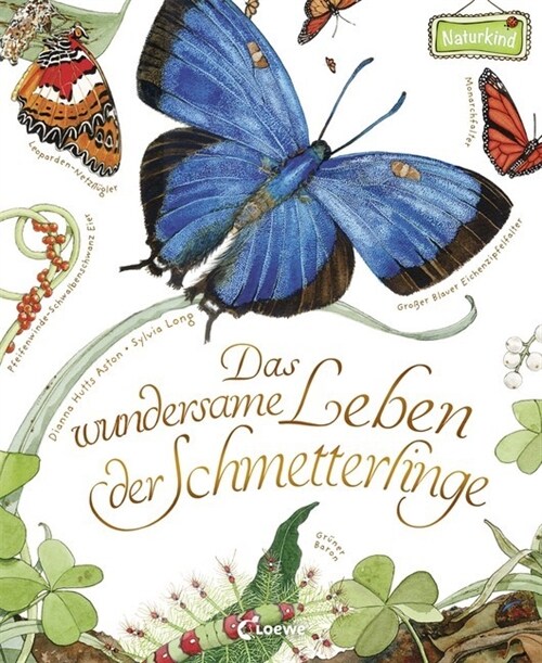 Das wundersame Leben der Schmetterlinge (Hardcover)