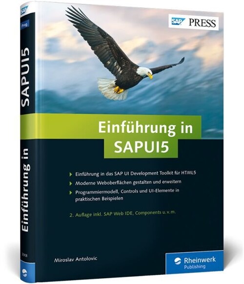 Einfuhrung in SAPUI5 (Hardcover)