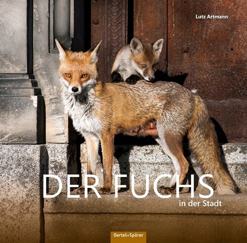 Der Fuchs in der Stadt (Hardcover)