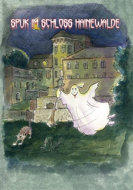 Spuk im Schloss Hainewalde (Paperback)
