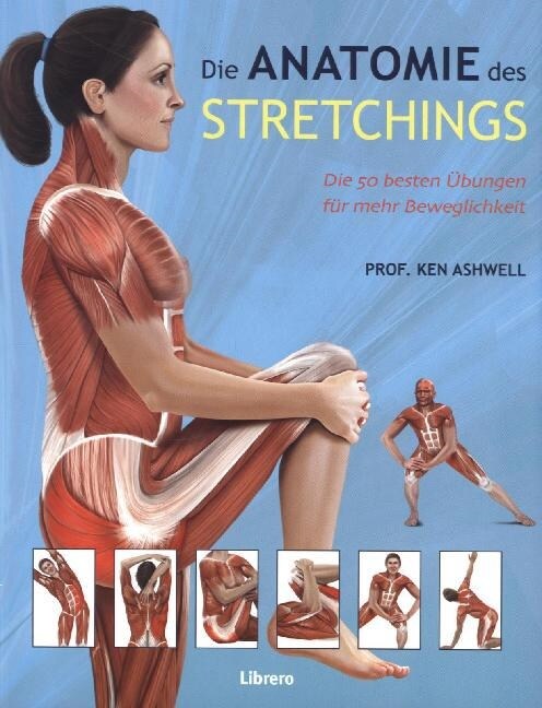 Die Anatomie des Stretchings (Paperback)