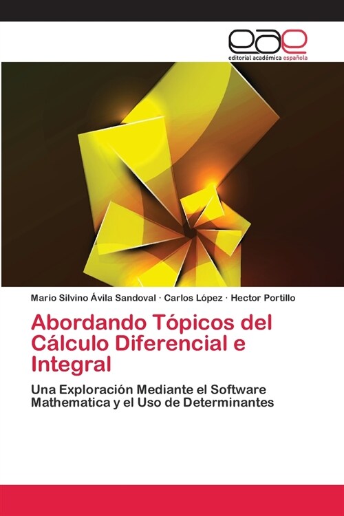 Abordando T?icos del C?culo Diferencial e Integral (Paperback)