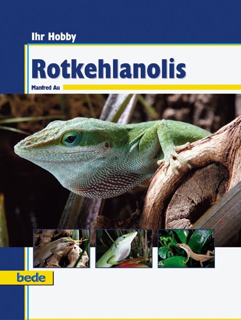 Rotkehlanolis (Hardcover)
