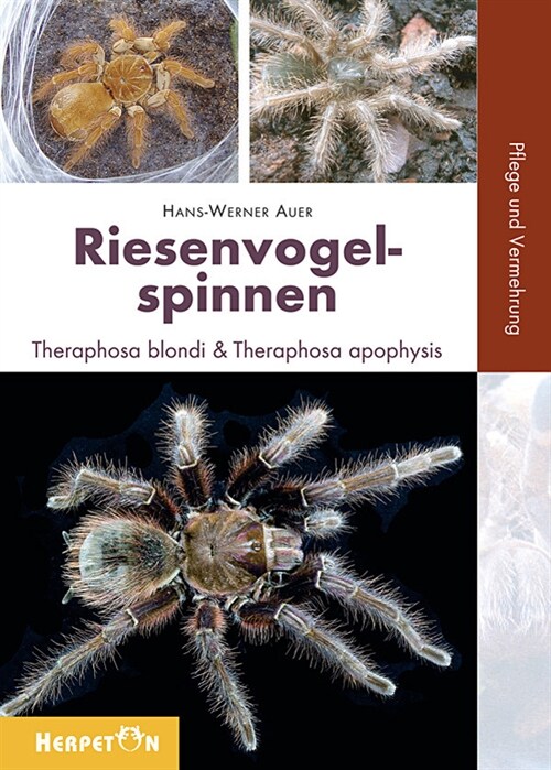 Riesenvogelspinnen (Paperback)