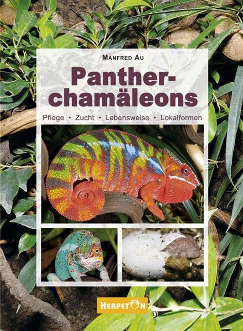 Pantherchamaleons (Hardcover)